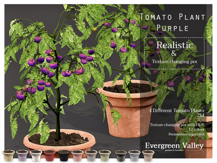 Second Life Marketplace Tomato PlantPurple